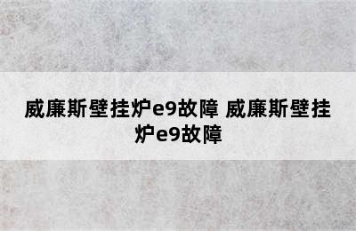 威廉斯壁挂炉e9故障 威廉斯壁挂炉e9故障